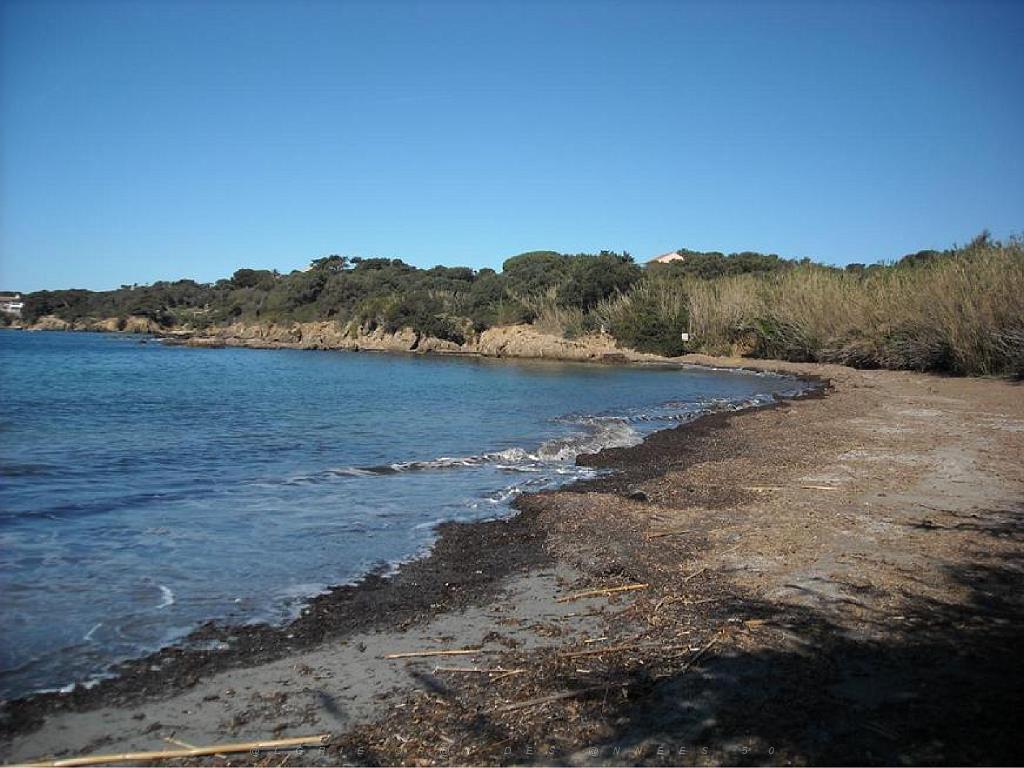 183 D20 PRESQU ILE DE GIENS 3_000034.jpg